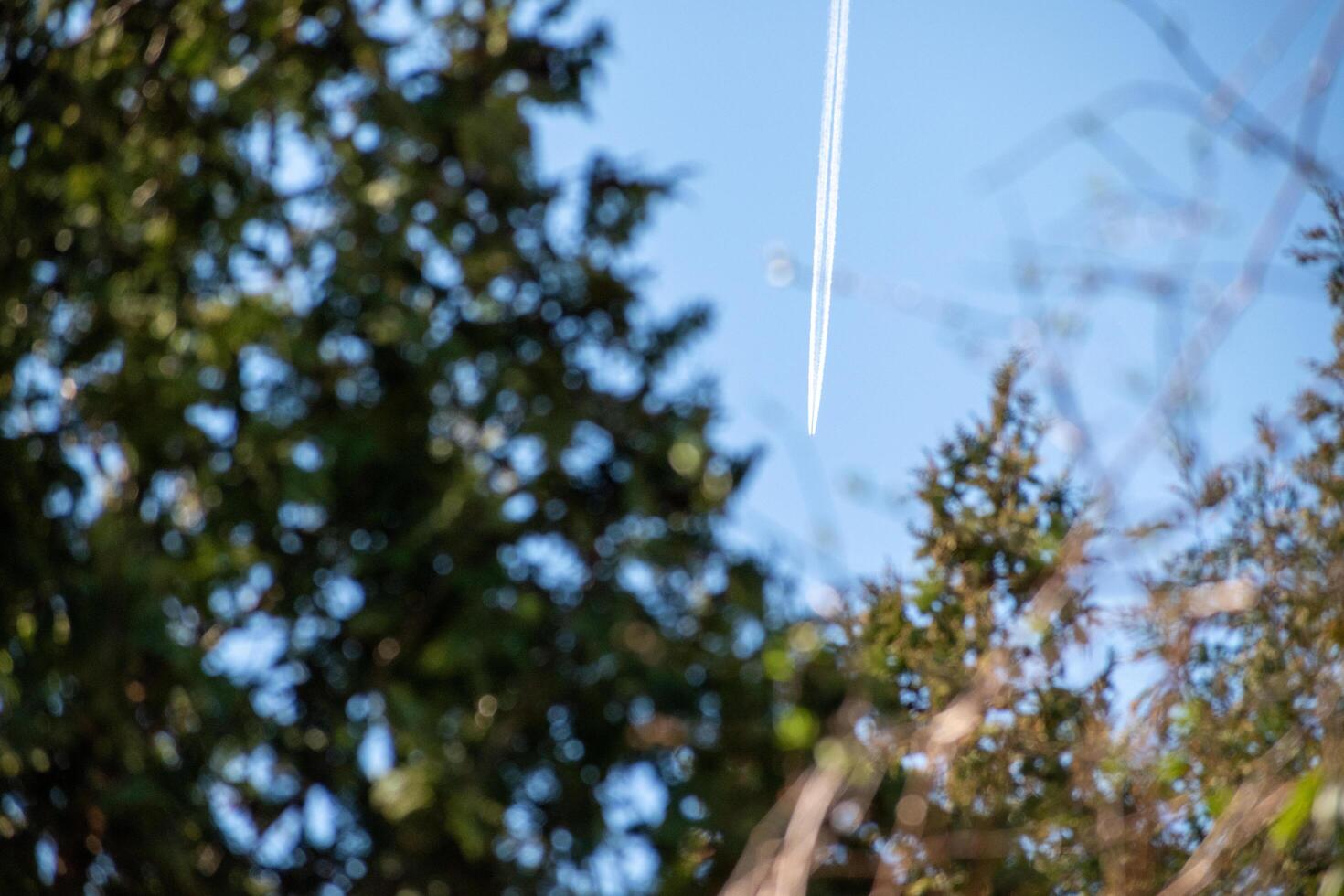 A plane flying through the trees photo