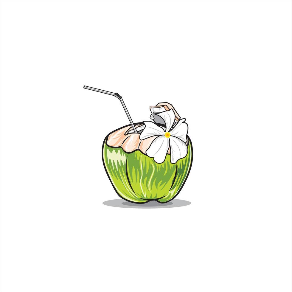 the coconuts that are in Bali vector