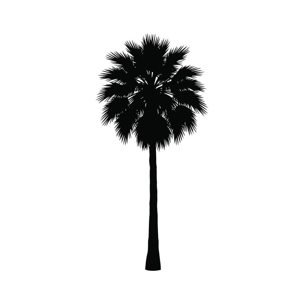 Majestic Silhouette of a Palm Tree Standing Tall Against a White Background, Evoking Serenity and Tropical Vibes vector