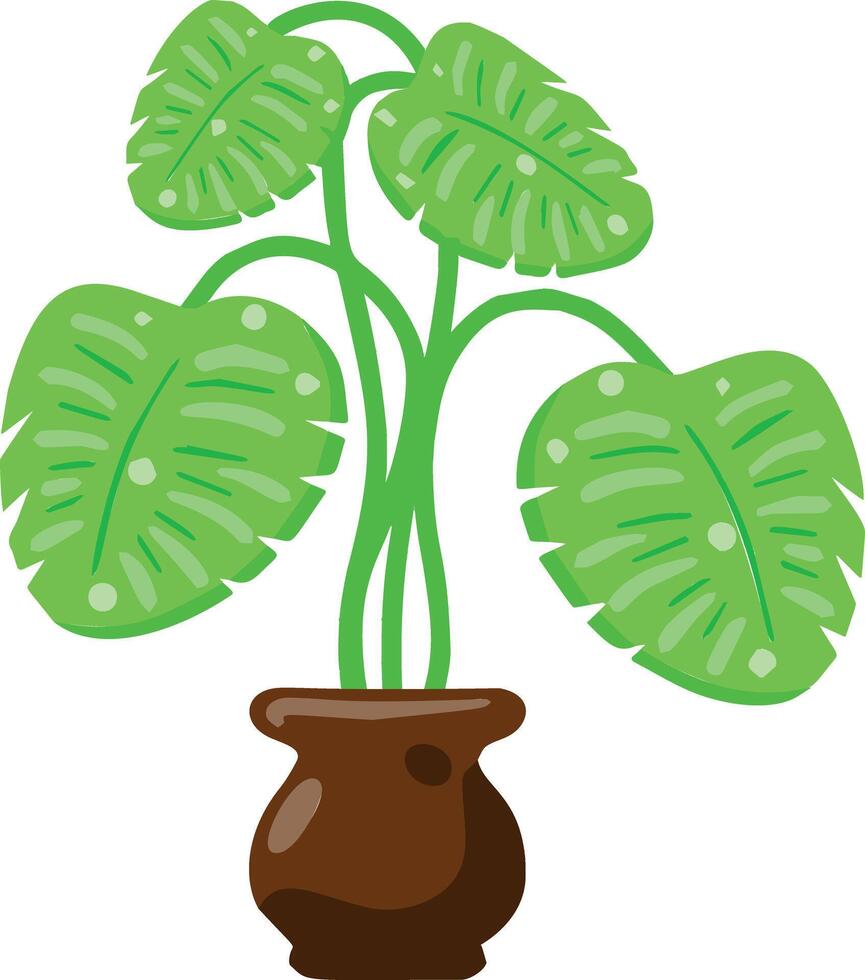 Houseplant with tropical foliage in a pot. Cartoon illustration. vector