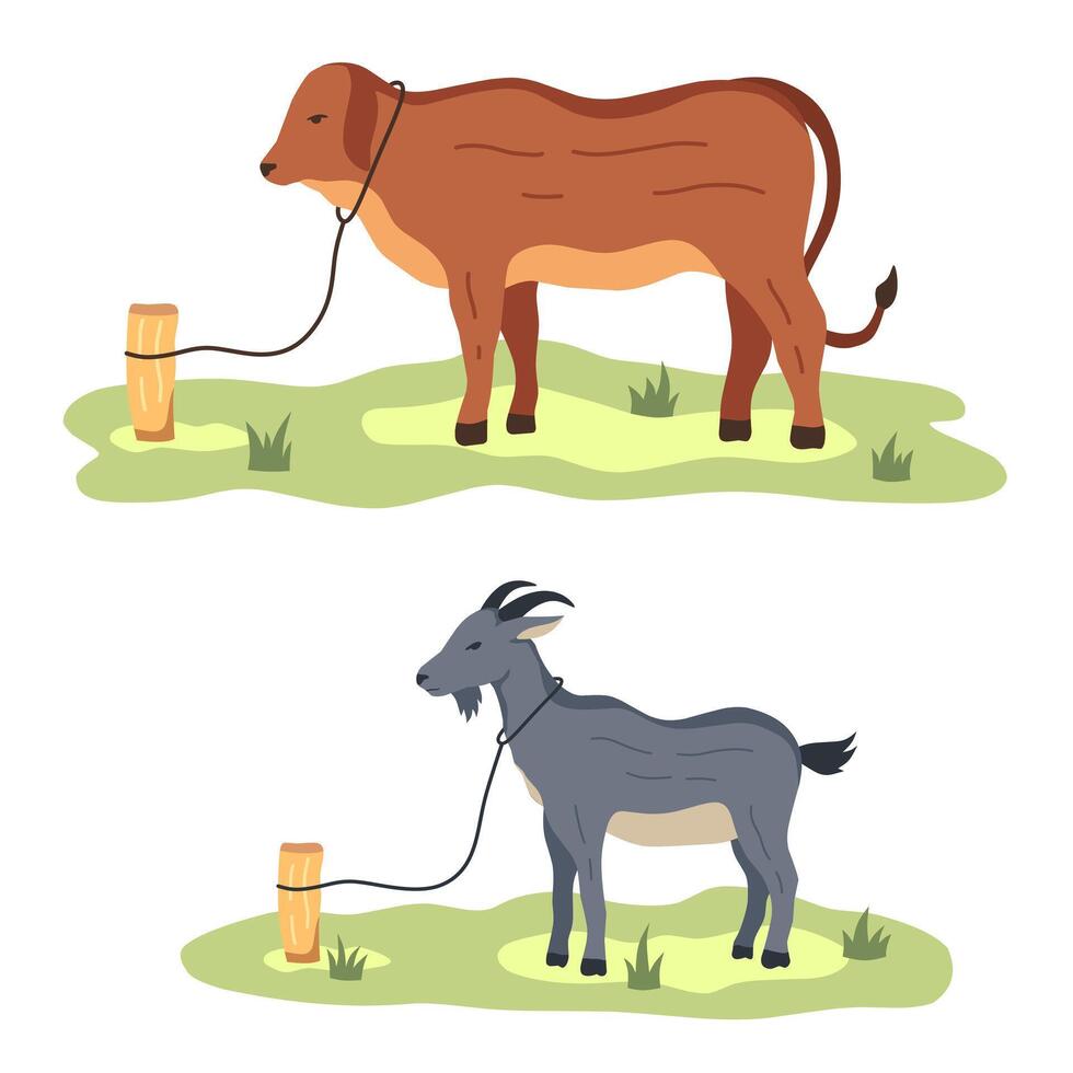 cows and goats tied up. Illustration of Eid al-Adha celebration. sacrificial animals vector