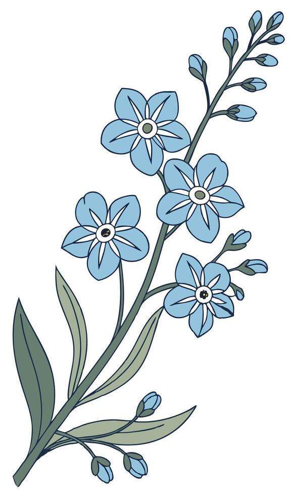 Close-up of the Forget-Me-Not flower arranged beautifully and decorated with vines vector
