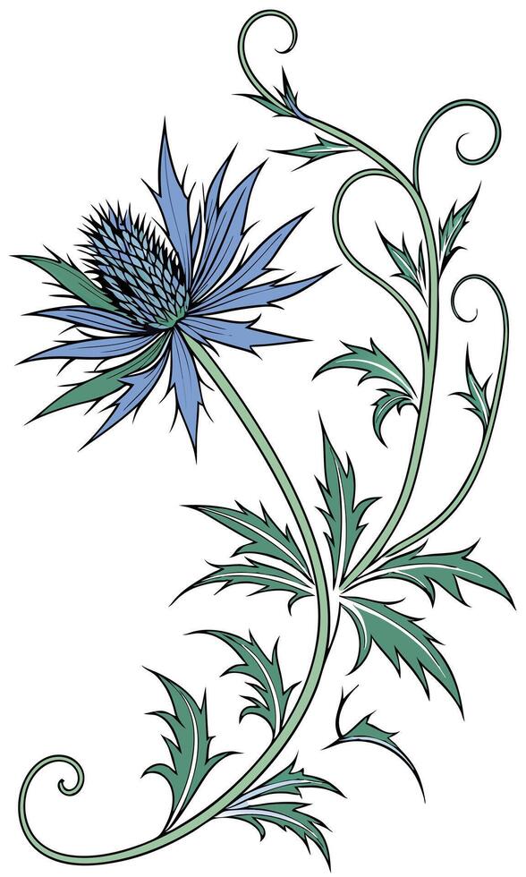 Close-up of the Sea Holly flower arranged beautifully and decorated with vines vector