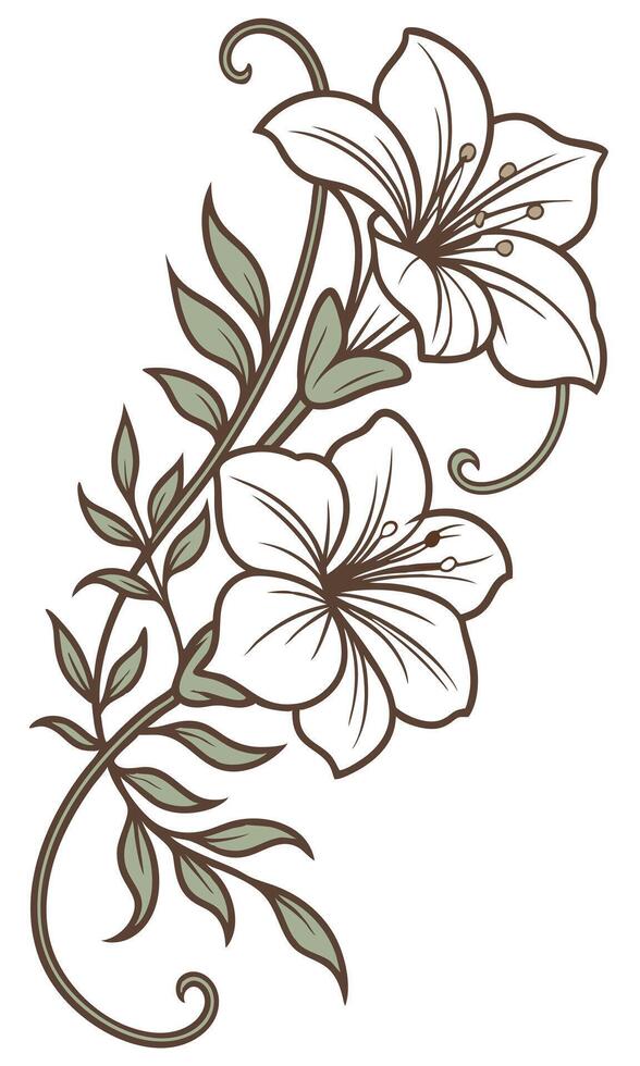 the Verbascum flower arranged beautifully and decorated with vines vector