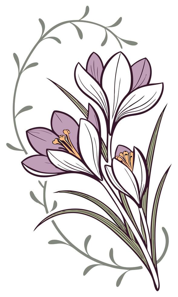 Close-up of the Crocus flower arranged beautifully and decorated with vines vector