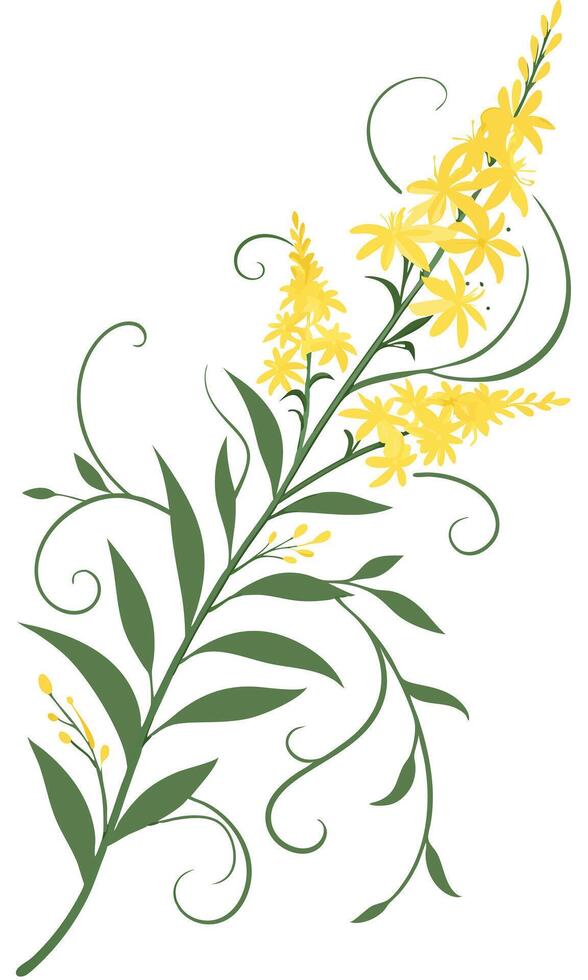 Close-up of the Goldenrod flower arranged beautifully and decorated with vines vector