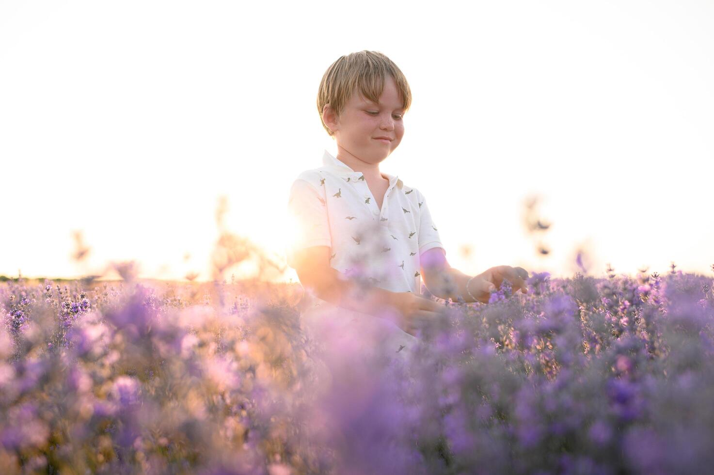 Stillness and light surround a child reaching for a purple bloom. photo