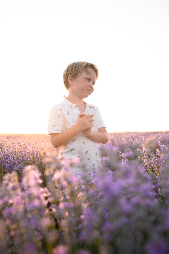 Alone in a sea of lavender, a boy stands in quiet wonder. photo