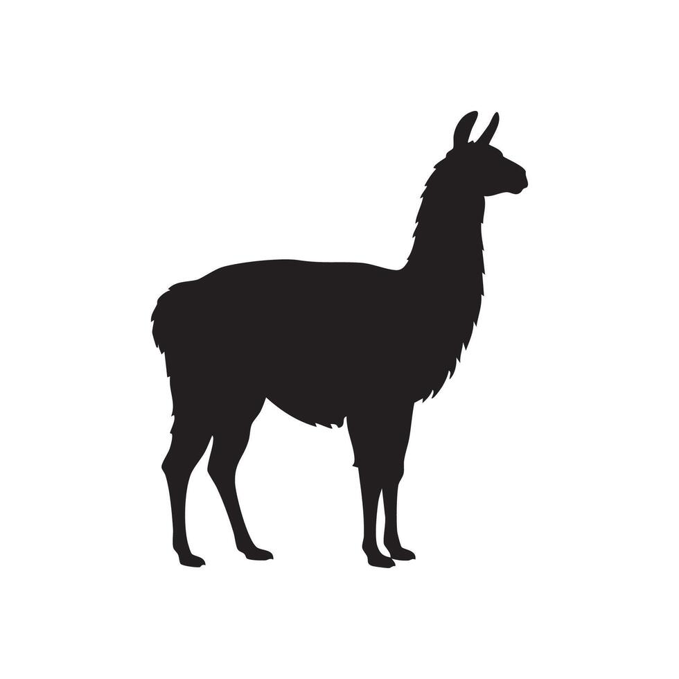 Elegant Llama Standing Profile in Black Silhouette This vector
