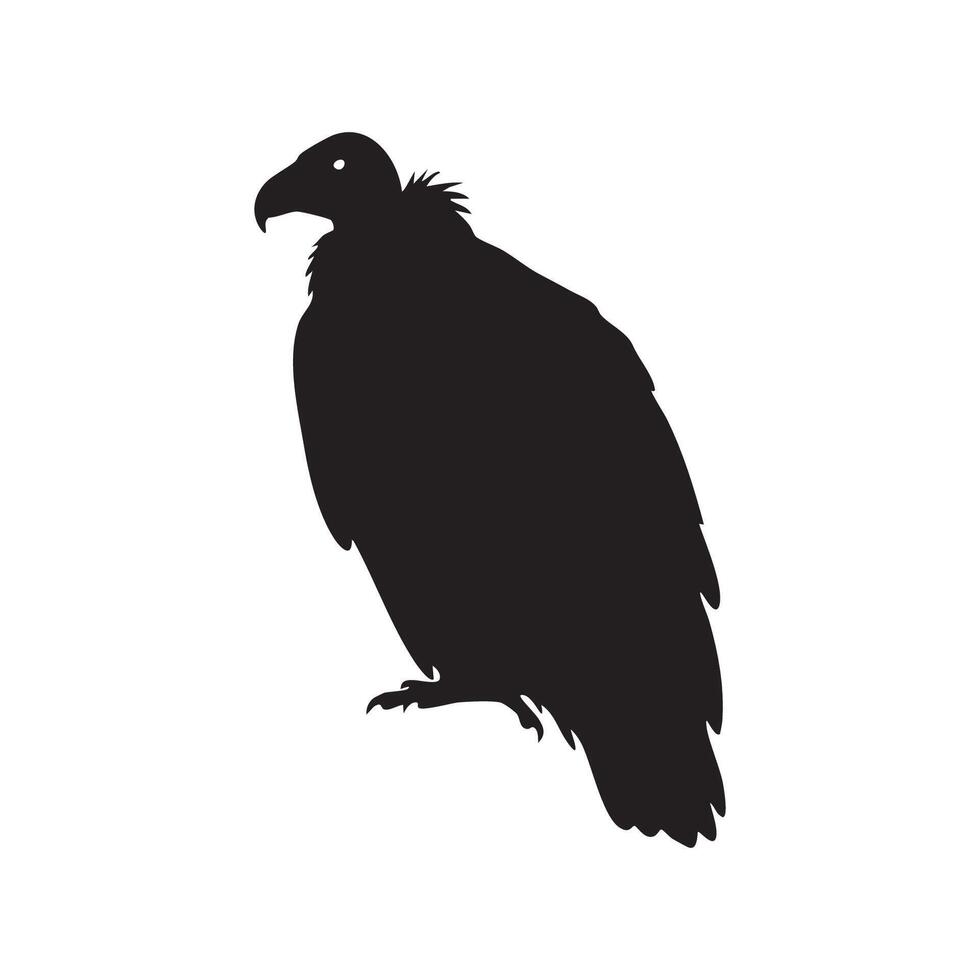 Black silhouette of a vulture standing with its head turned left isolated on white background silhouette vector
