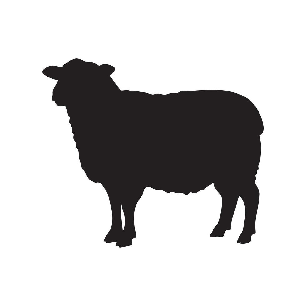 A black silhouette of a sheep standing on a white background silhouette isolated on white background vector