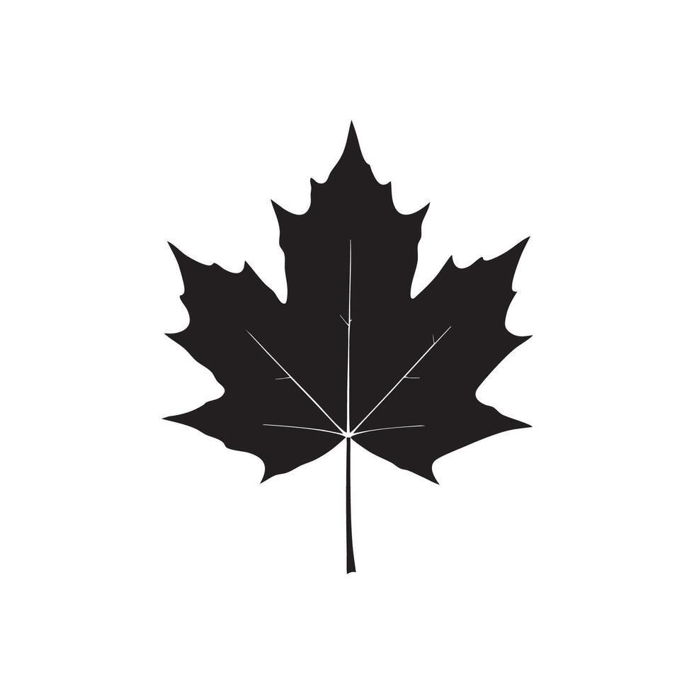 Elegant Maple Leaf in Black and White Silhouette vector