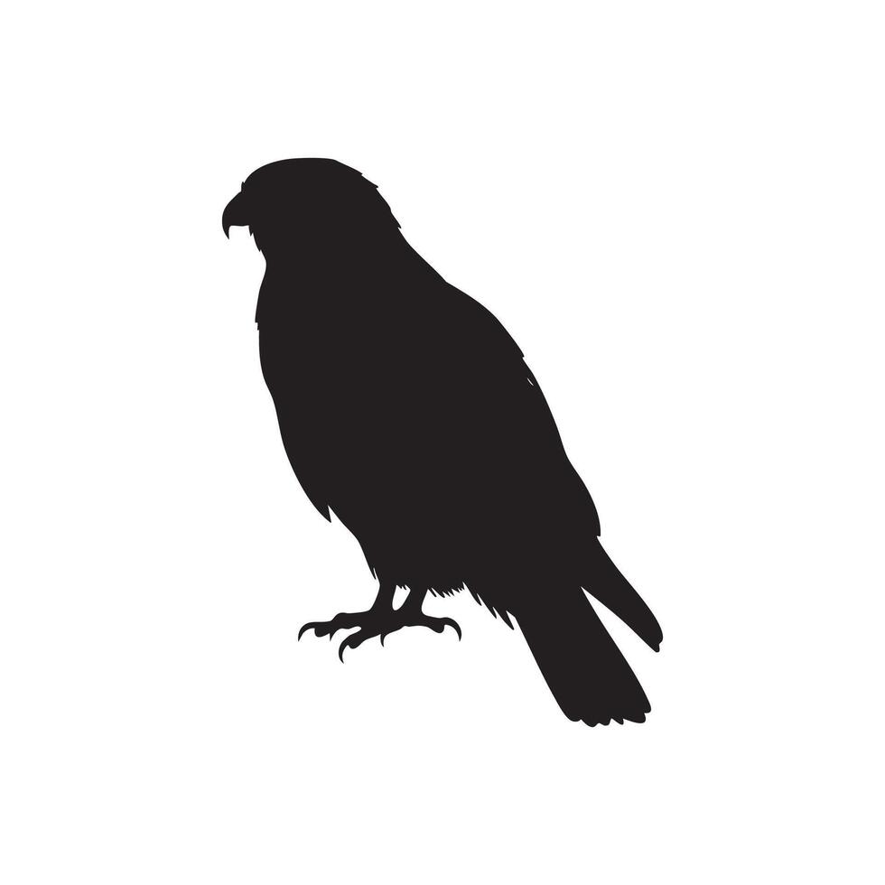 Detailed Silhouette of a Perched Hawk on White Background silhouette vector