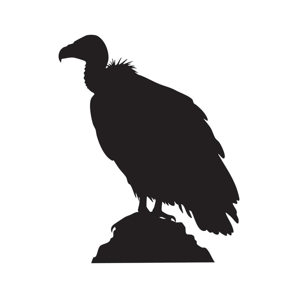 Vulture Perched on Rocks Black Silhouette Against White Background silhouette vector