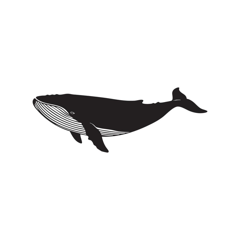 Elegant Humpback Whale Swimming Silhouette Illustration This image vector