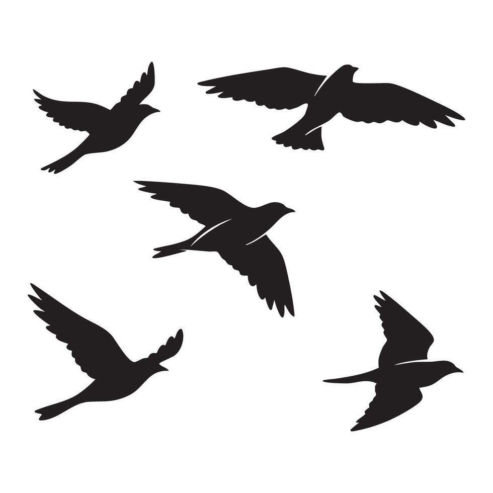 Five Birds Flying in Different Directions Black Silhouette vector