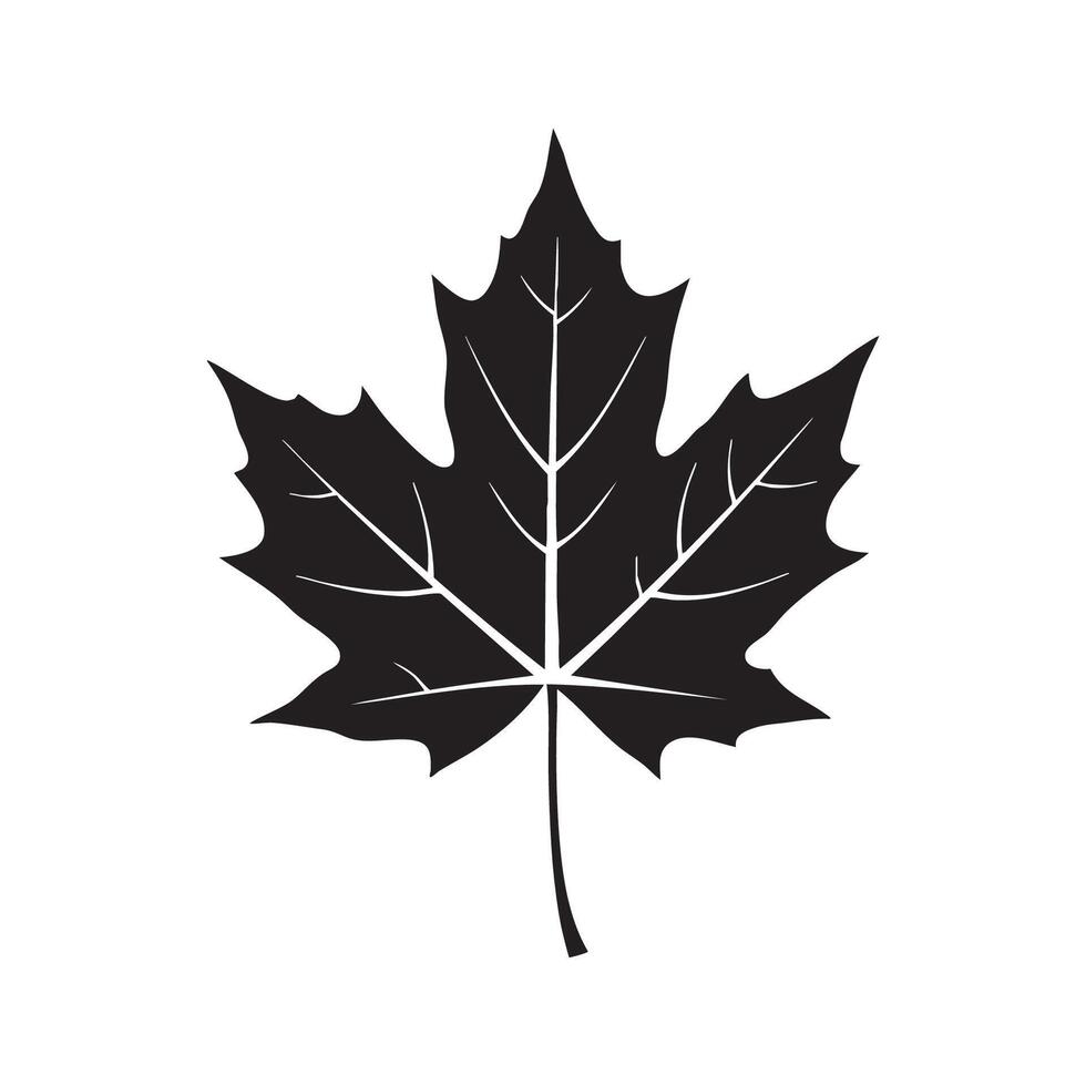 Isolated Maple Leaf Illustration in Black and White Silhouette vector