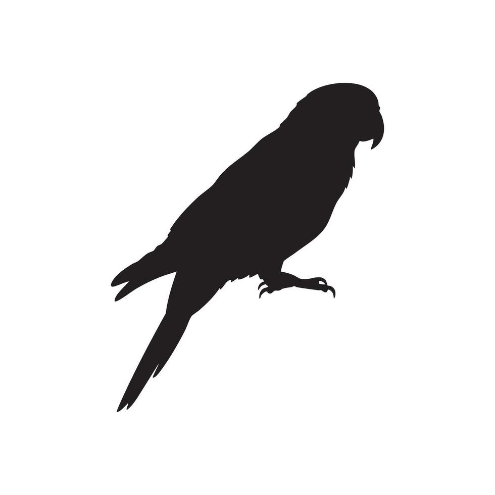 Parrot Perched Sideways Black Silhouette on White Background silhouette vector