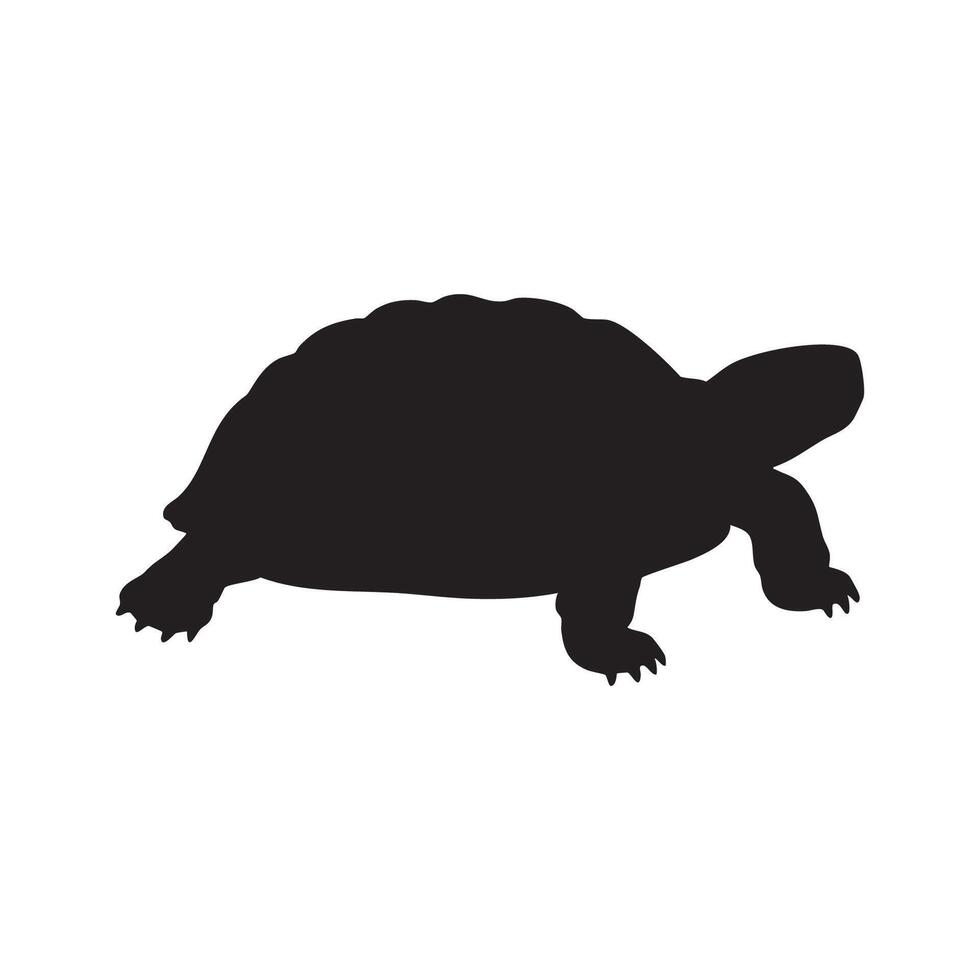 Black Turtle Walking Isolated on White Background silhouette vector