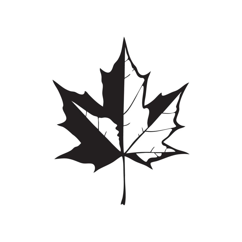 Stylized black and white maple leaf silhouette isolated on white background vector
