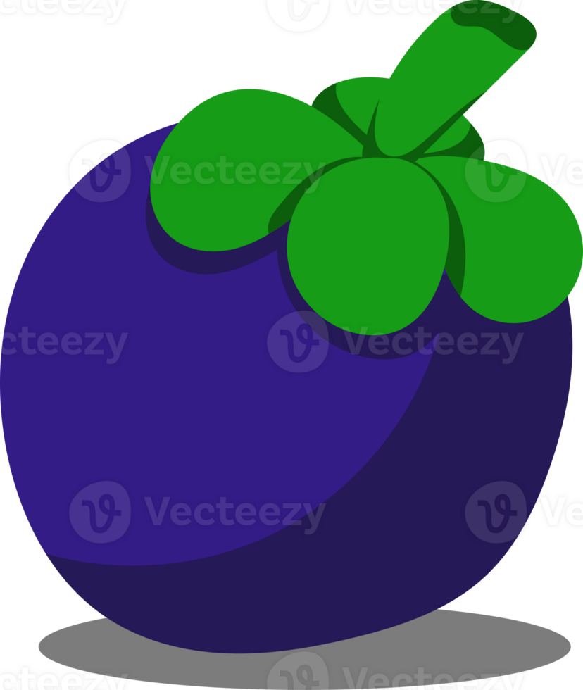 Colorful illustration of a fresh mangosteen fruit with green stem and purple skin. Tropical fruit design ideal for food, agriculture, and health related themes. Isolated on transparent background, png