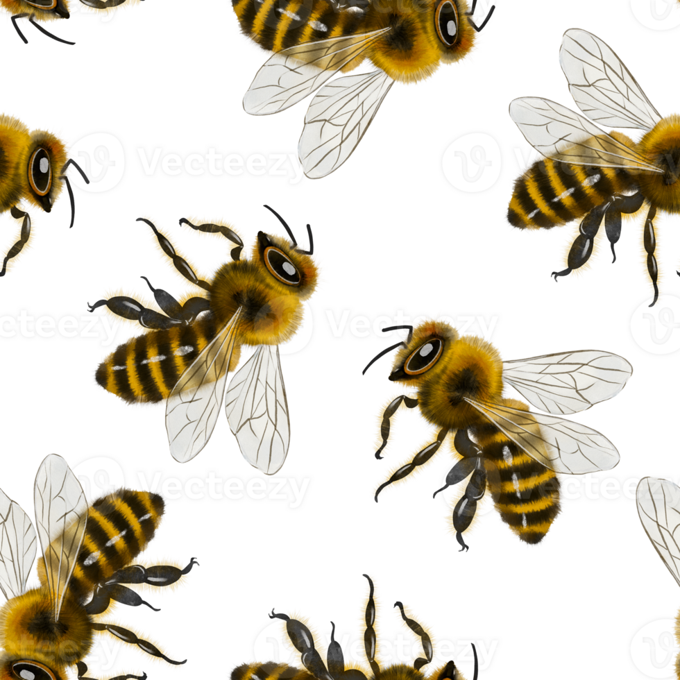 Bee pattern, drawing made in digital watercolor style. Perfect for fabric, wrapping paper, scrapbooking, cards, print, background, packaging, invitations, and seasonal decorations. png