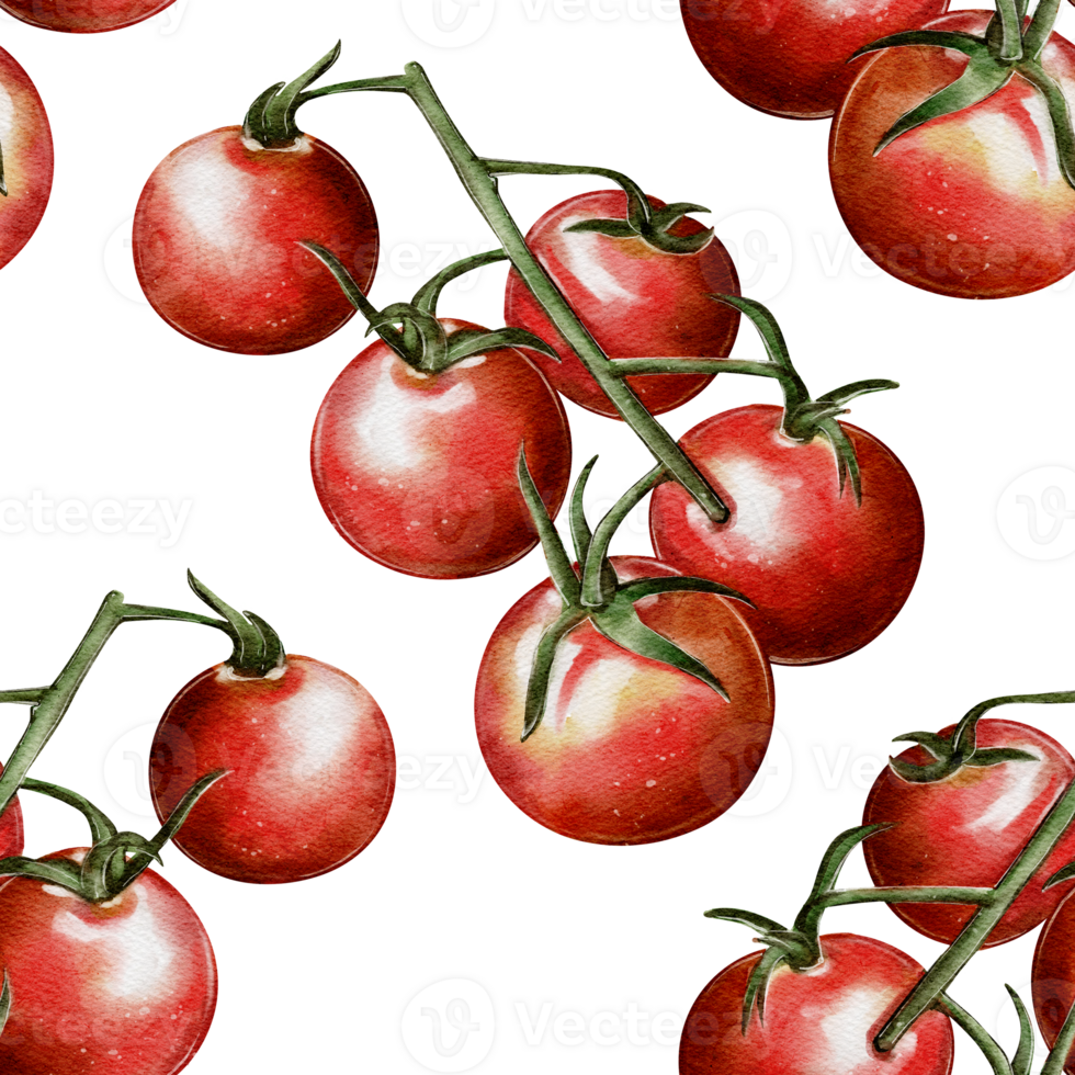 Watercolor seamless pattern with clusters of ripe tomatoes on a white background. Ideal for packaging, textiles, menu design, wallpaper and kitchen decor. png