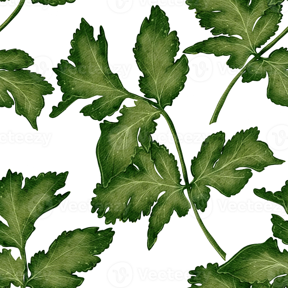 Watercolor seamless pattern with green parsley and cilantro leaves. Natural botanical background for packaging, textiles, and culinary projects. png
