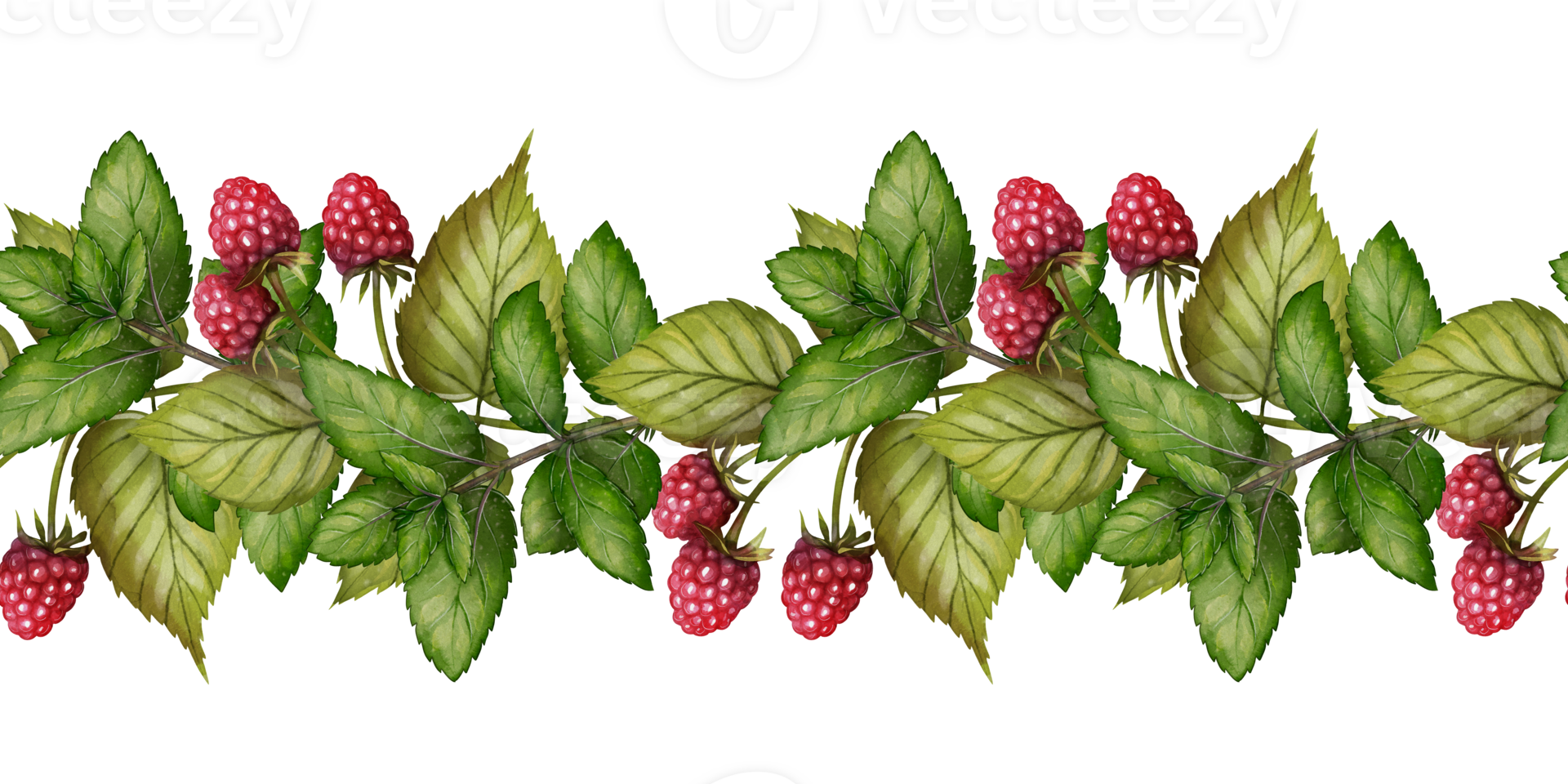 Seamless raspberry border with ripe berries and green leaves, drawing in digital watercolor style. Great for packaging, textiles, greeting cards, and summer design. png