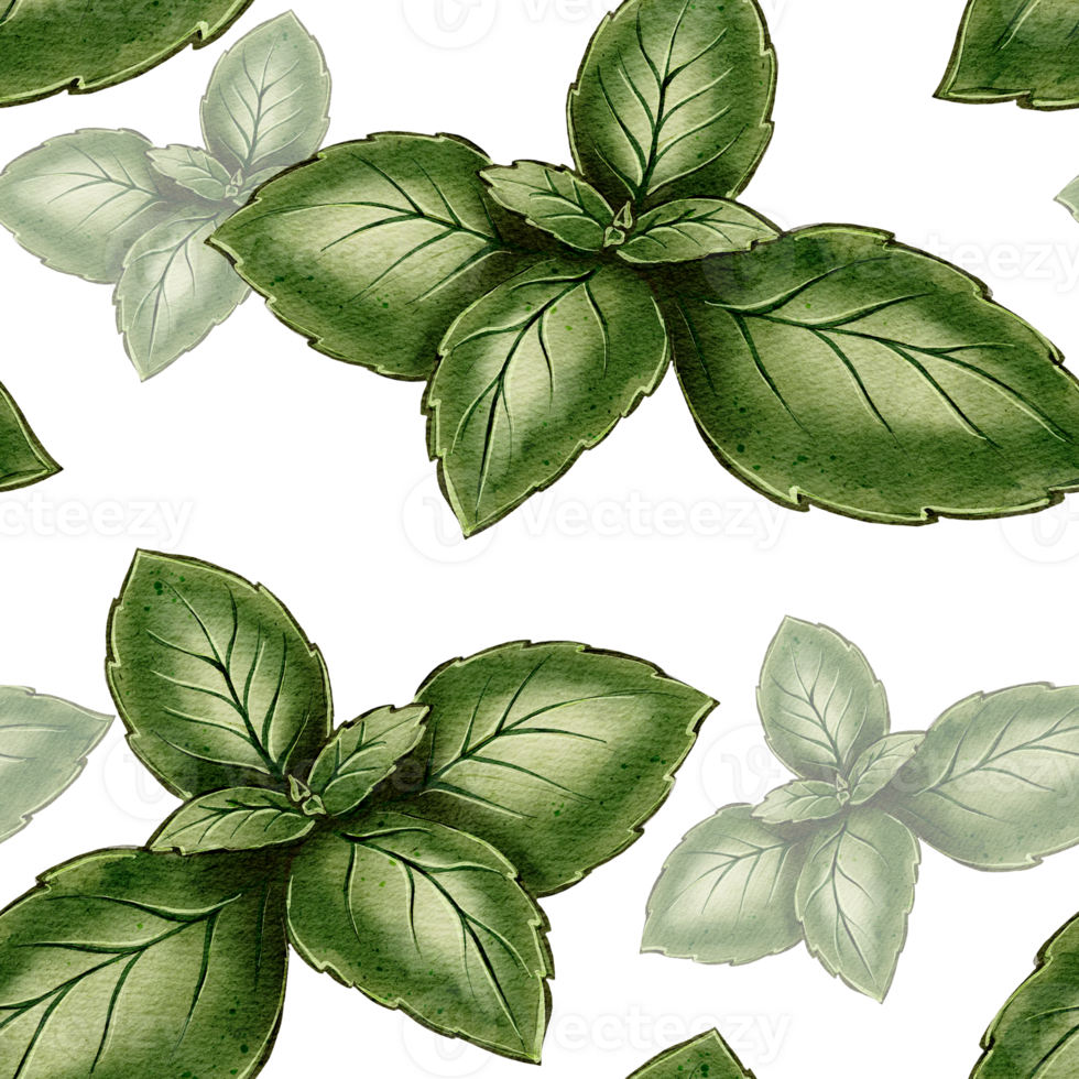 Watercolor seamless pattern with green basil leaves. Perfect for textiles, packaging, backgrounds, wallpapers, scrapbooking, and culinary desig png
