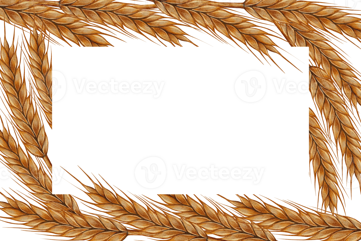 Watercolor frame of golden barley ears with empty space in the center for text. Suitable for packaging, branding, advertising, and decoration. png