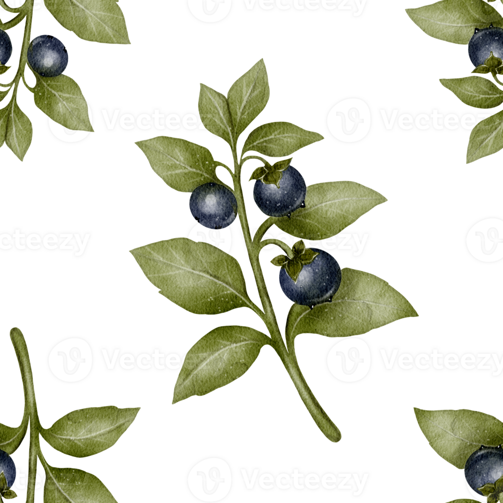 Seamless pattern with belladonna branches and dark berries. Watercolor botanical illustration. Hand-drawn poisonous plant isolated on white background. Perfect for fabric, wallpaper, and decoration. png