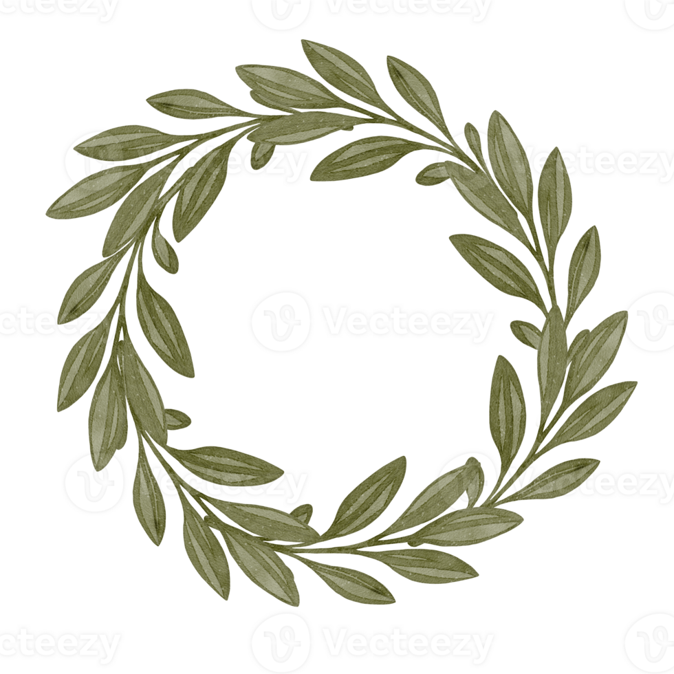 Olive branch arranged in a circular wreath. This is a hand-painted drawing made using watercolor technique. White background. Perfect for cards, logos, invitations, or holiday and seasonal decor. png