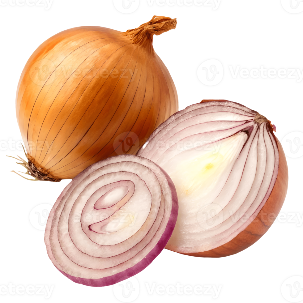 Fresh Onions Still Life Brown Onion, Sliced Red Onion Rings, Culinary Food Photography,, Ingredient Preparation Transparent Background png