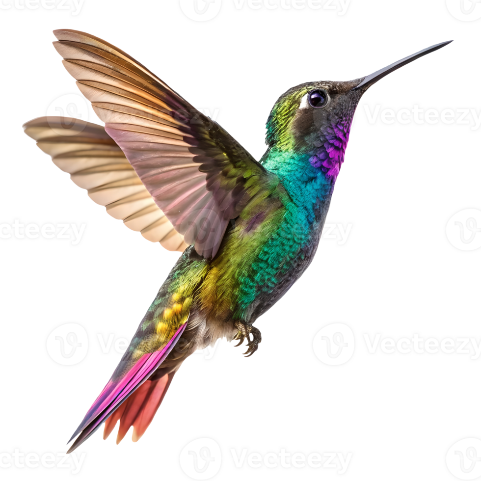 Iridescent Hummingbird in Flight Vibrant Plumage, Precision Beak, Natures Jewel, Detailed Wing Feathers, Dynamic Movement, Isolated on White, Perfect Symmetry Transparent Background png