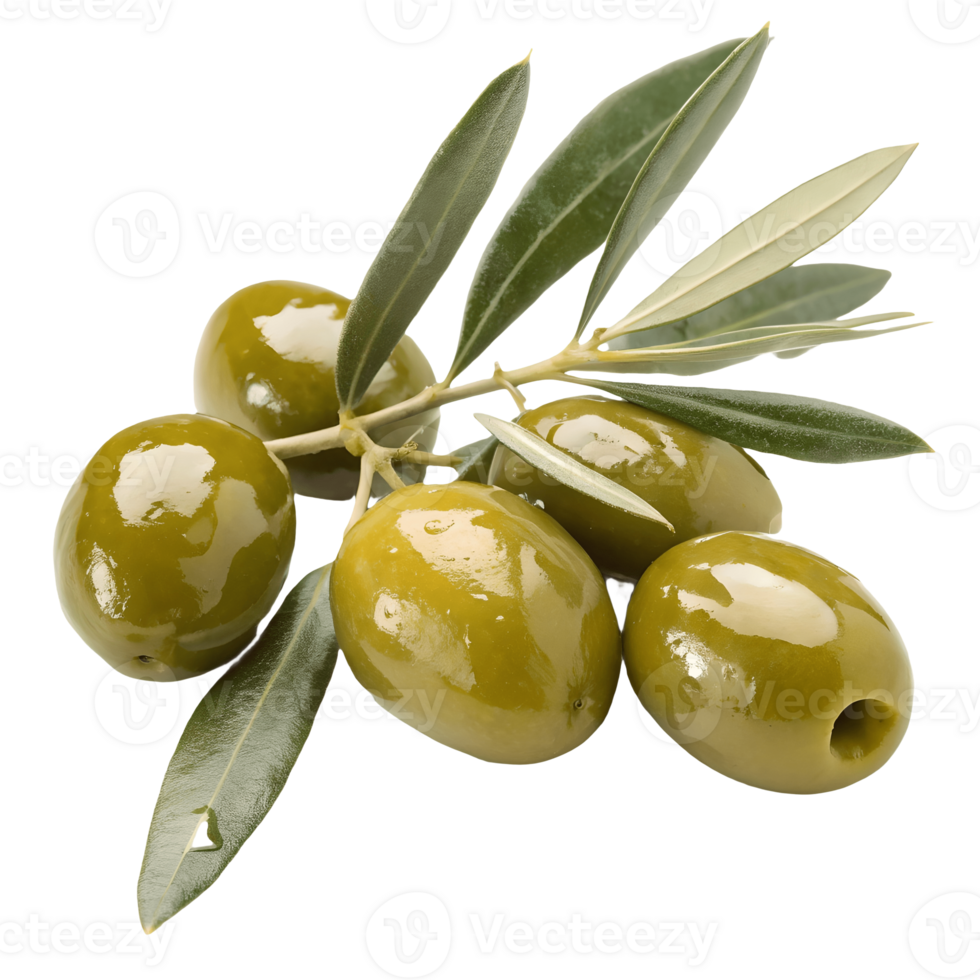 Fresh Green Olives on Branch with Leaves, Olive Harvesting, Mediterranean Diet, Culinary Ingredient, Healthy Eating Concept Transparent Background png