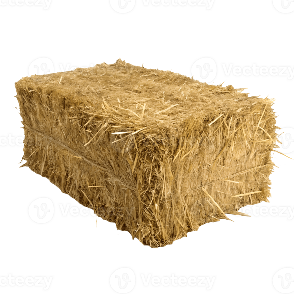 Golden Hay Bale Stack Isolated, Rustic Farm Harvest, Agriculture, Rural Scenery, Straw Block, Farming Scene, Yellow Hay Texture Transparent Background png