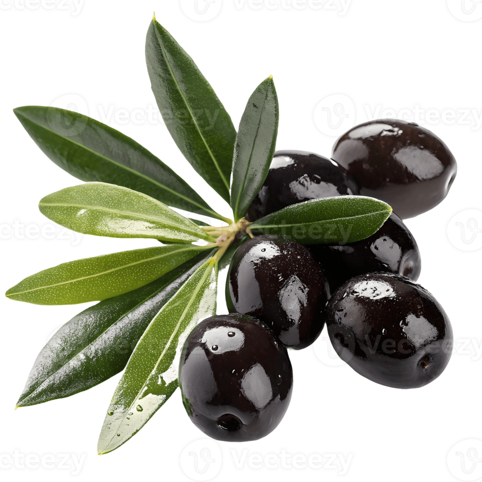 Fresh Black Olives with Green Leaves Shiny, Healthy, Mediterranean Food Ingredient, Natural, Culinary Delight, Isolated Transparent Background png
