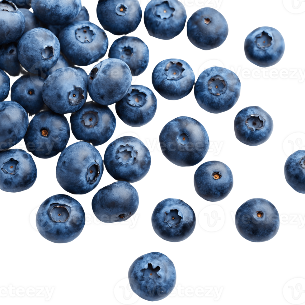 Fresh Blueberries Close Up Studio Shot, Healthy Eating, Antioxidant Rich, Summer Fruits, Culinary Photography Transparent Background png