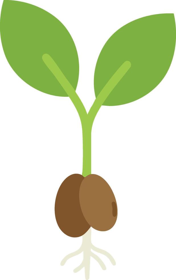 Young green seedling sprouting with brown seed and white roots simple design for growth and nature concepts vector