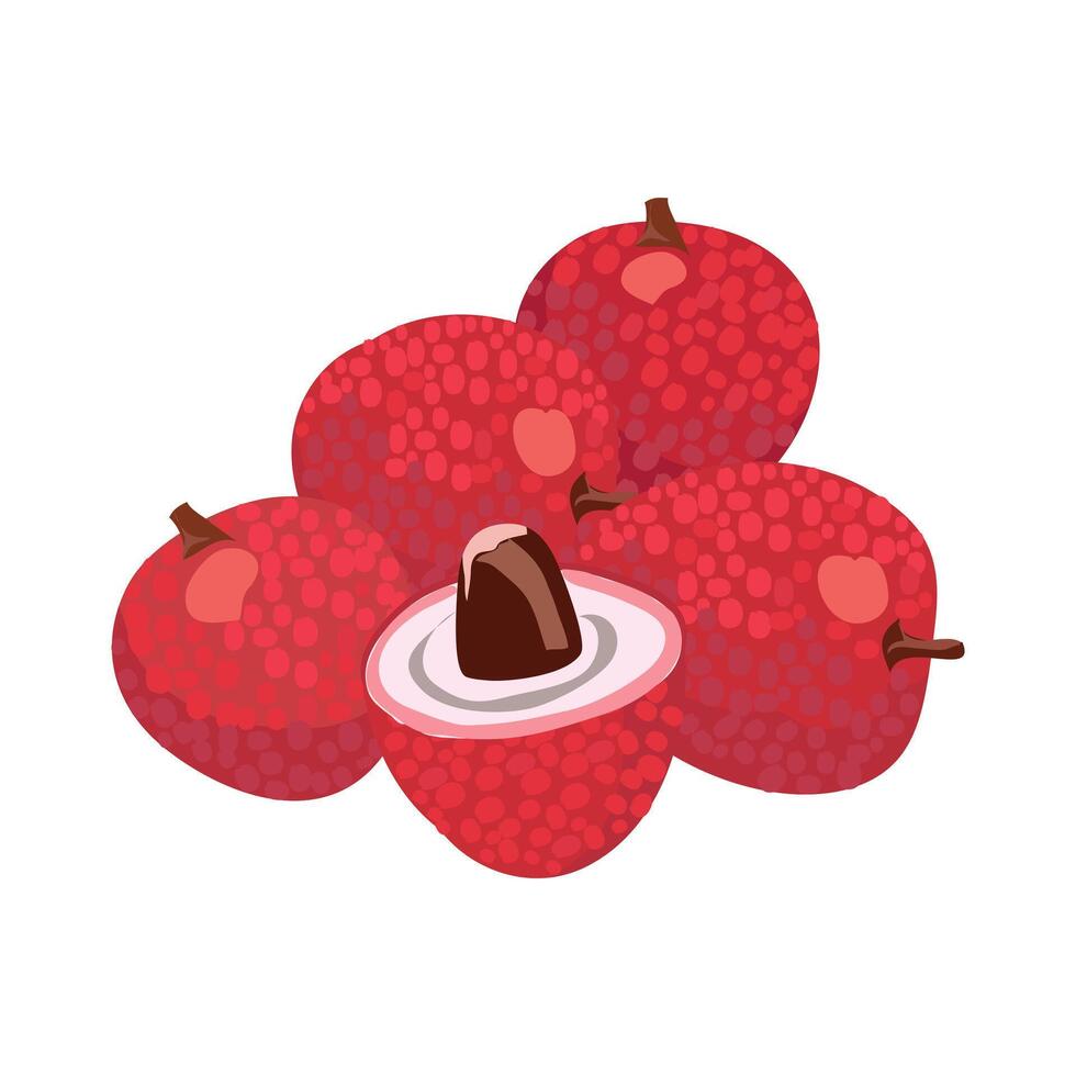 Fresh Lichu Fruit De Exotic Healthy Sweet Summer Treat Graphic vector