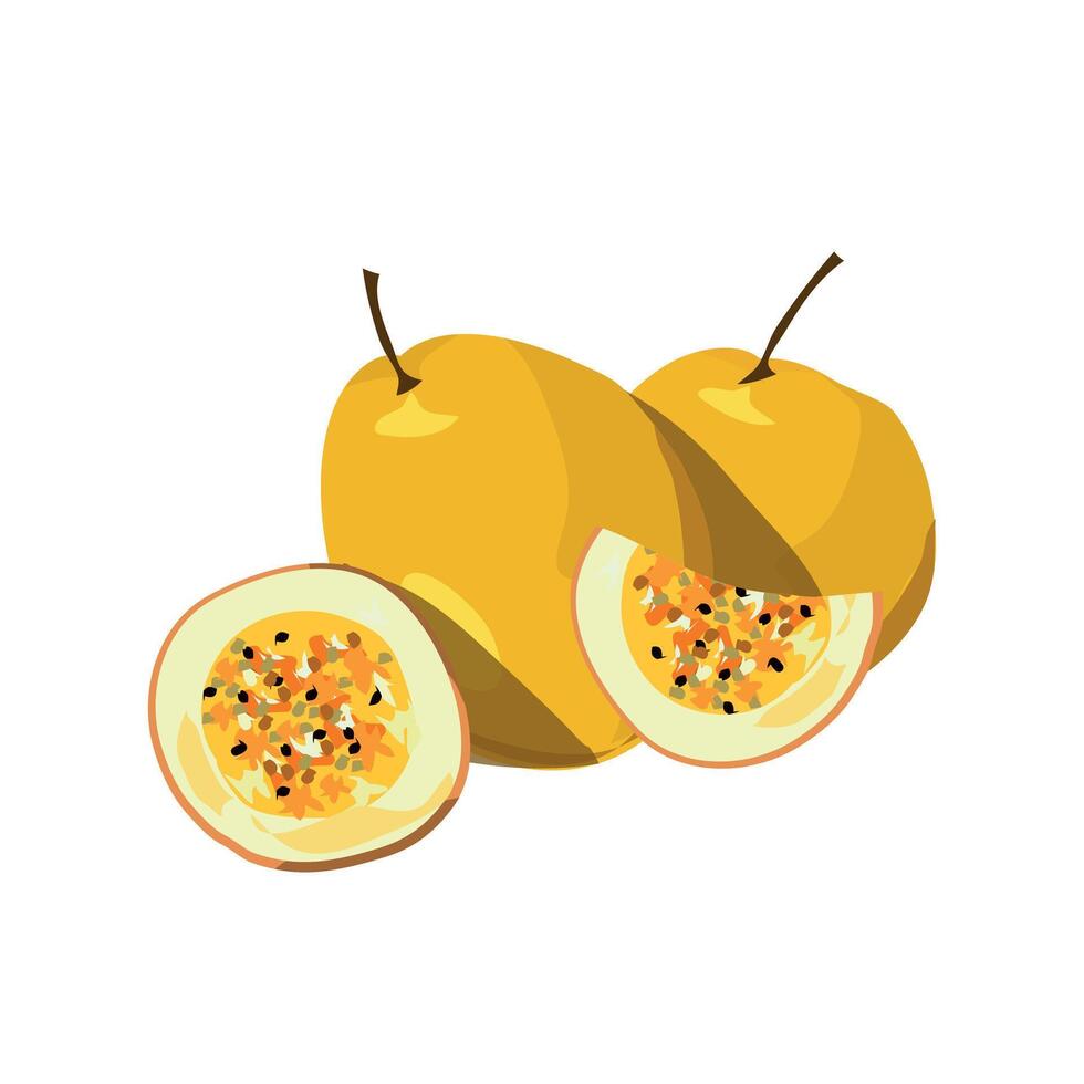 Parchita Fruit Design Sweet Exotic Healthy Snack Graphic vector