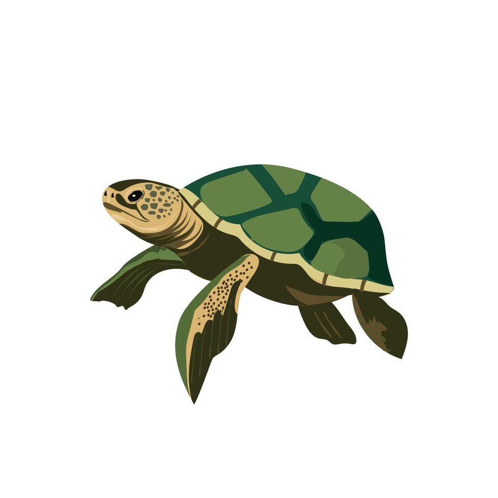 Graceful Green Sea Turtle Tortuga Marina Marine Animal Illustration for Wildlife Designs, Detailed Shell and Ocean Life Colors vector