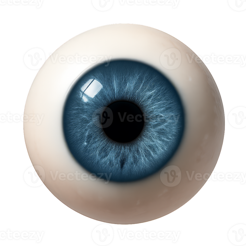 Realistic 3D Eye Model with Detailed Iris and Clear Cornea png
