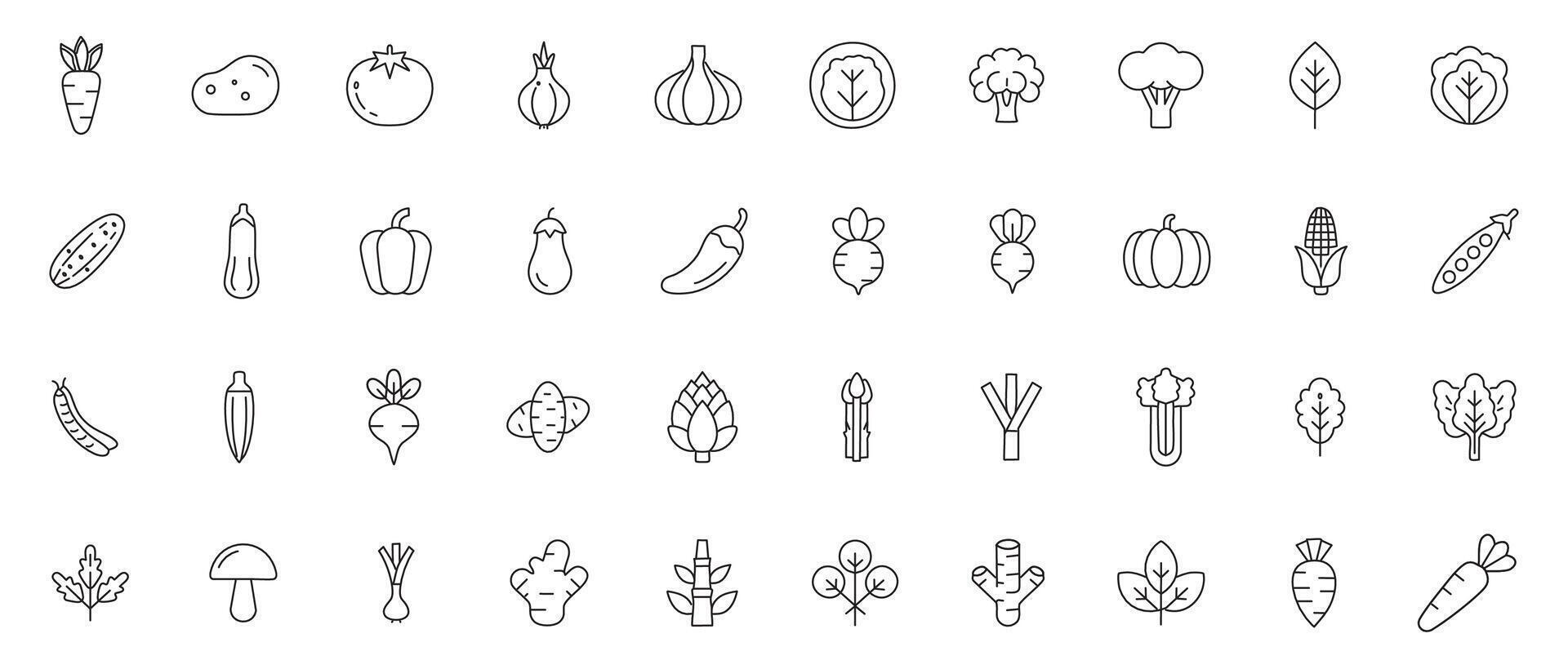 Vegetable Line Icon Set Minimal Outline Icons of Fresh Vegetables, Greens, and Root Crops vector