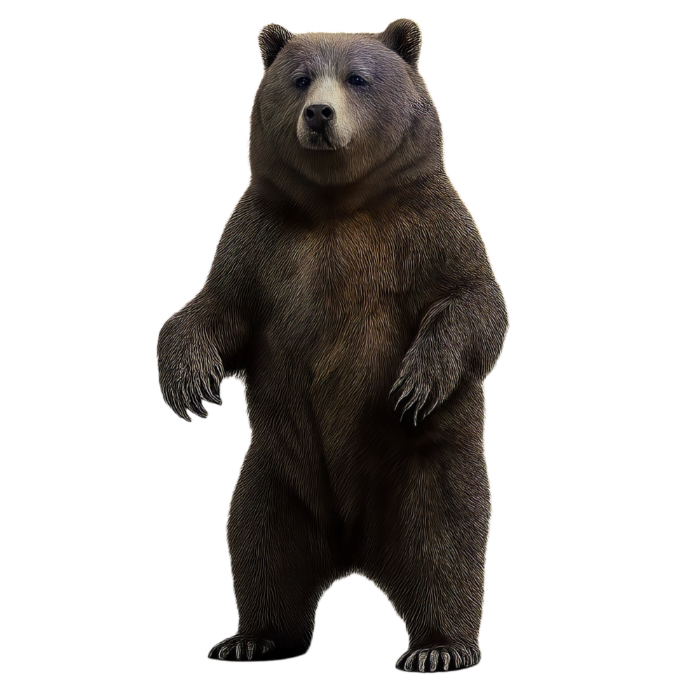 Realistic 3D Standing Bear Figure in Simple Design png