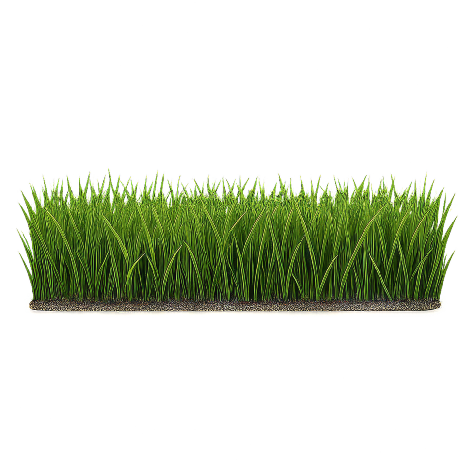 Simple 3D Grass Border for Landscape Design and Decoration png