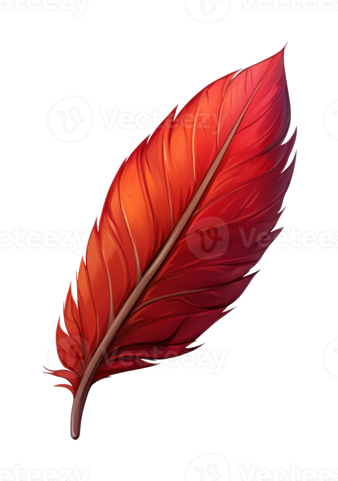 Vibrant red feather with intricate details on stem and veins png