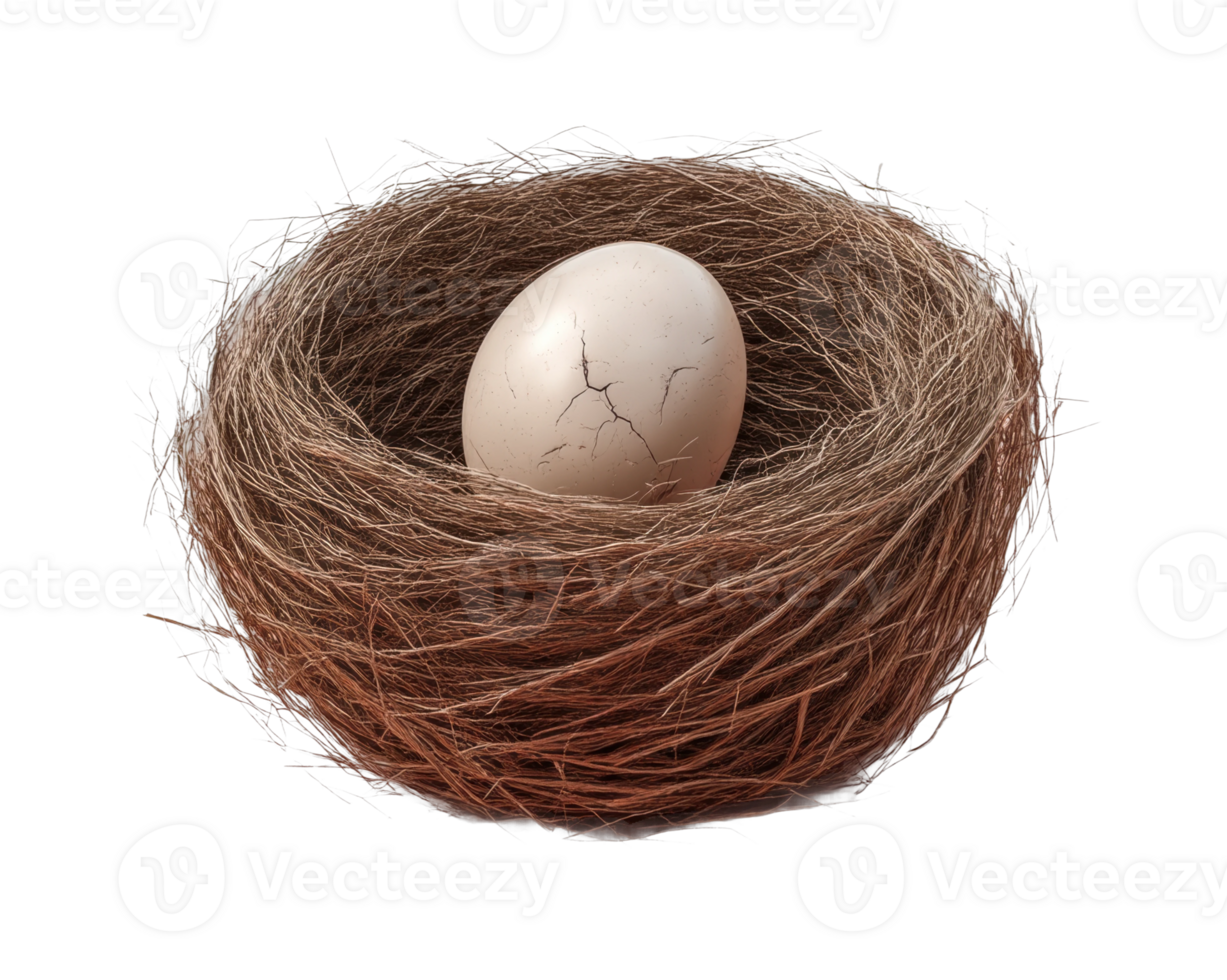 Cracked egg in nest symbolizing new beginnings and life's fragility png