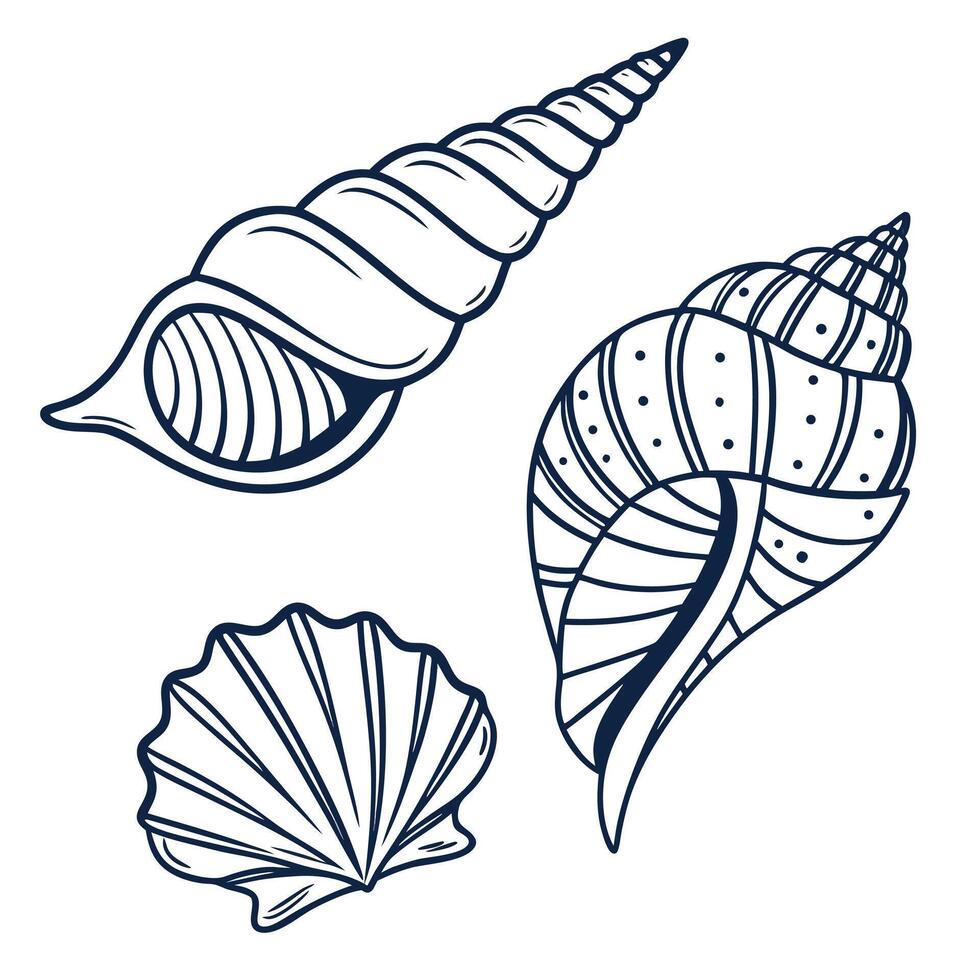 Serene Ocean Shells Elegant Line Art Illustrations of Seashells, Perfect for Nautical Designs and Summer Vibes vector